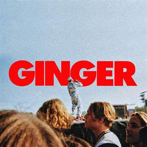 Ginger by BROCKHAMPTON .
